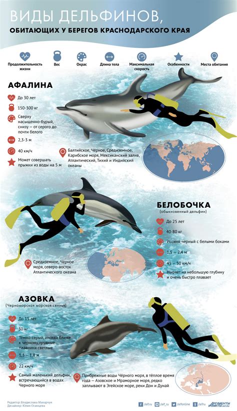 живые индикаторы черного моря дельфины